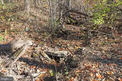 799 Stephens Lane, Fort Valley, VA 22652 - Photo 37