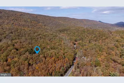 115 Risk Road, New Market, VA 22844 - Photo 49