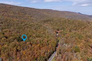 115 Risk Rd, New Market, VA 22844 - Photo 49