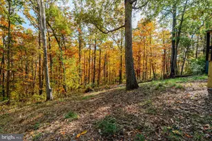 115 Risk Rd, New Market, VA 22844 - Photo 37