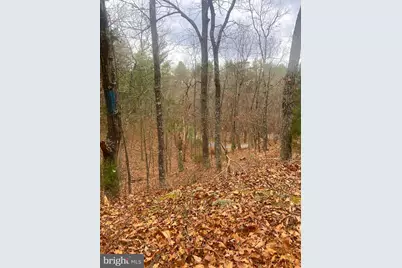 Spitz Lane, Basye, VA 22810 - Photo 3