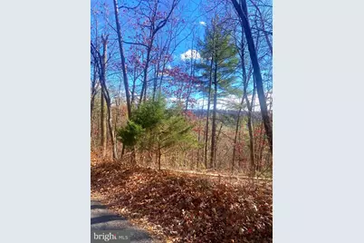 Spitz Lane, Basye, VA 22810 - Photo 19