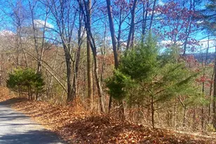 Spitz Ln, Basye, VA 22810 - Photo 1