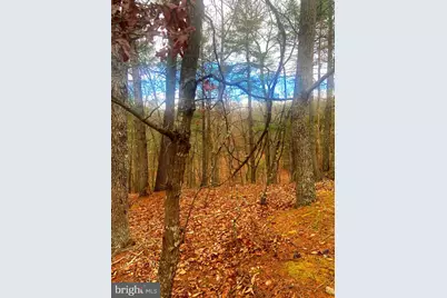 Spitz Lane, Basye, VA 22810 - Photo 13