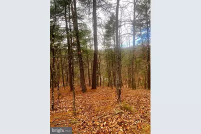 Spitz Lane, Basye, VA 22810 - Photo 15