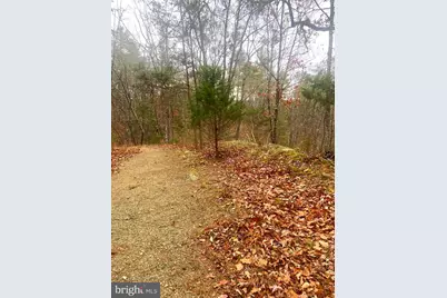 Spitz Lane, Basye, VA 22810 - Photo 5
