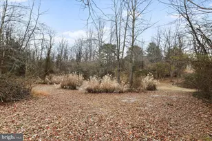 717 W Locust St, Woodstock, VA 22664 - Photo 63