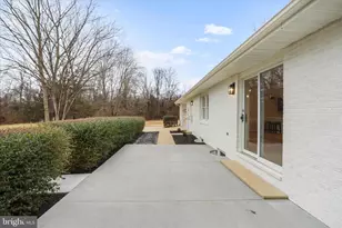 717 W Locust St, Woodstock, VA 22664 - Photo 67