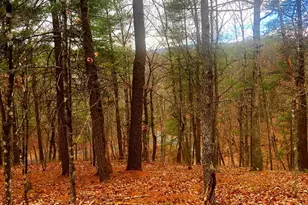 King St, Basye, VA 22810 - Photo 1