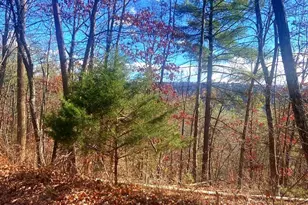 Spitz Ln, Basye, VA 22810 - Photo 1