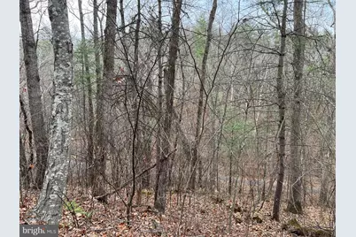 0 Crab Apple, Mount Jackson, VA 22842 - Photo 3