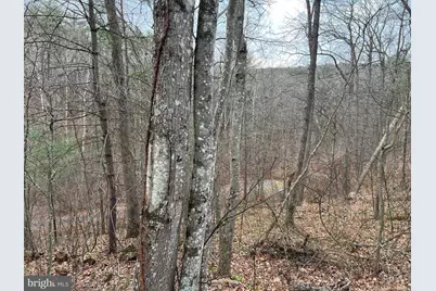 0 Crab Apple, Mount Jackson, VA 22842 - Photo 1