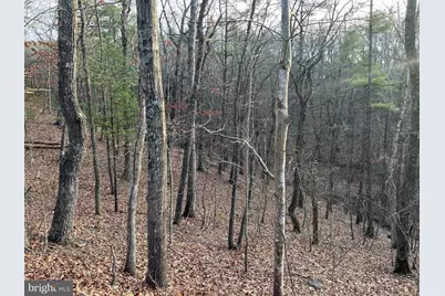 0 Straton, Basye, VA 22810 - Photo 3