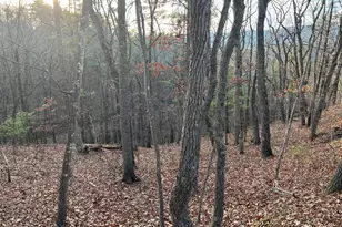 0 Straton, Basye, VA 22810 - Photo 1