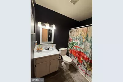 291 Borum Street, Strasburg, VA 22657 - Photo 15