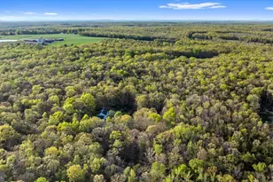 13037 Orange Plank Rd, Locust Grove, VA 22508 - Photo 69