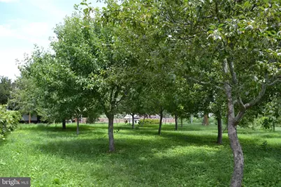 6830 Black Rock Drive, Spotsylvania, VA 22551 - Photo 35