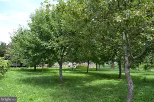 6830 Black Rock Dr, Spotsylvania, VA 22551 - Photo 35