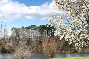 10746 Greenbriar Ln, Spotsylvania, VA 22553 - Photo 43