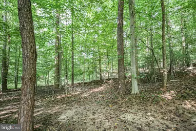 10108 Willow Ridge Lane, Spotsylvania, VA 22553 - Photo 13