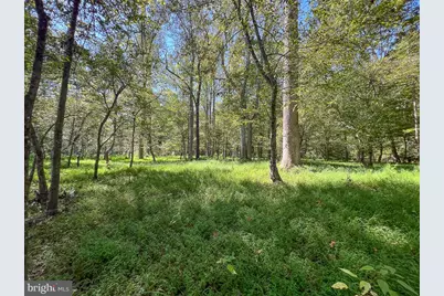 10812 Millridge Lane, Spotsylvania, VA 22553 - Photo 25