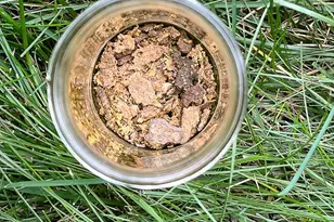 10812 Millridge Ln, Spotsylvania, VA 22553 - Photo 27