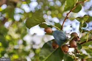 5906 W Copper Mountain Dr, Spotsylvania, VA 22553 - Photo 53