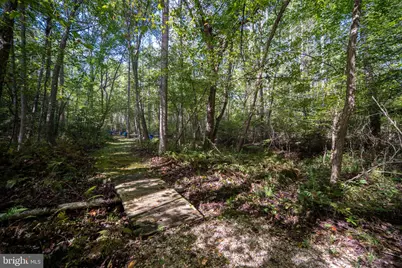 8610 Engleman Lane, Spotsylvania, VA 22551 - Photo 57