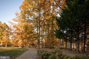 10816 Chatham Ridge Way, Spotsylvania, VA 22551 - Photo 67