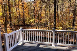 6820 John Taylor Ln, Orange, VA 22960 - Photo 45