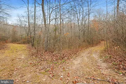 12749 Orange Plank Road, Locust Grove, VA 22508 - Photo 33
