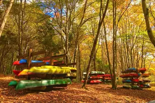 10703 Cold Spgs Ct, Spotsylvania, VA 22551 - Photo 63