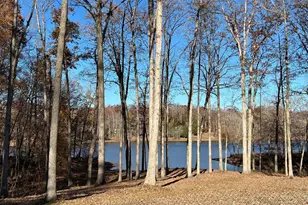 10416 Ni River Dr, Spotsylvania, VA 22553 - Photo 3