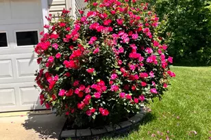 2707 Francis Ct, Fredericksburg, VA 22408 - Photo 5