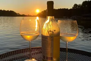 5500 Dogwood Tree Ln, Mineral, VA 23117 - Photo 45