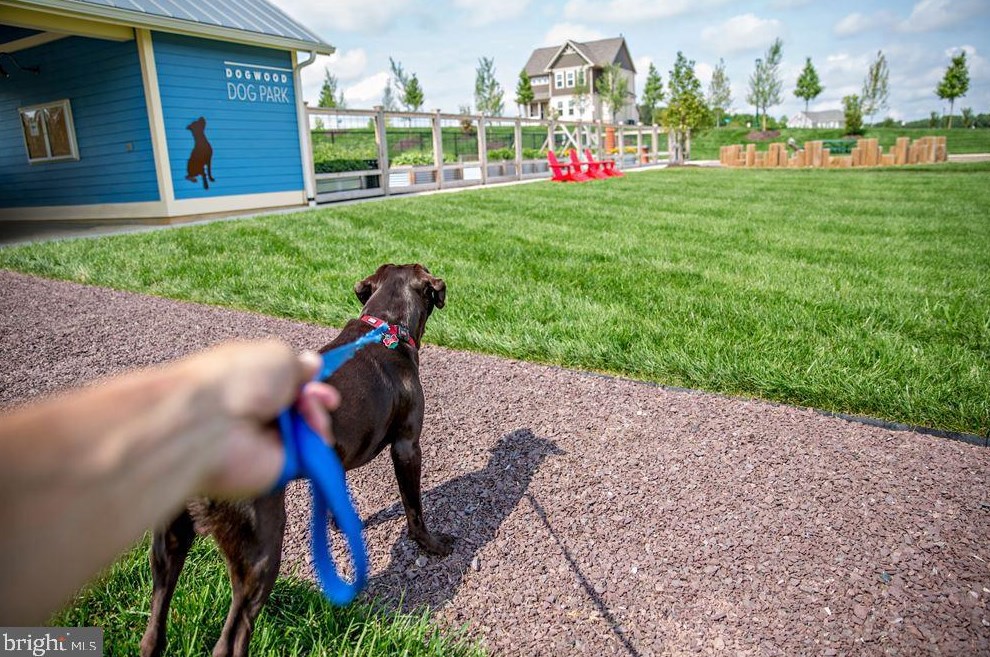 123 Almond Dr, Stafford VA 22554-2537 exterior