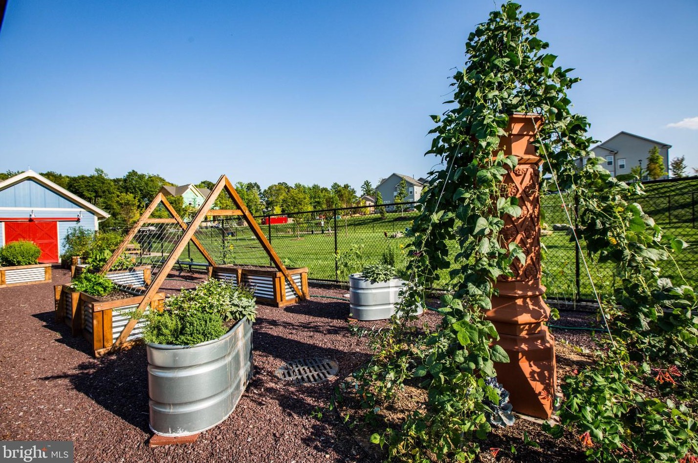 207 Apricot St, Stafford VA  22554-2500 exterior