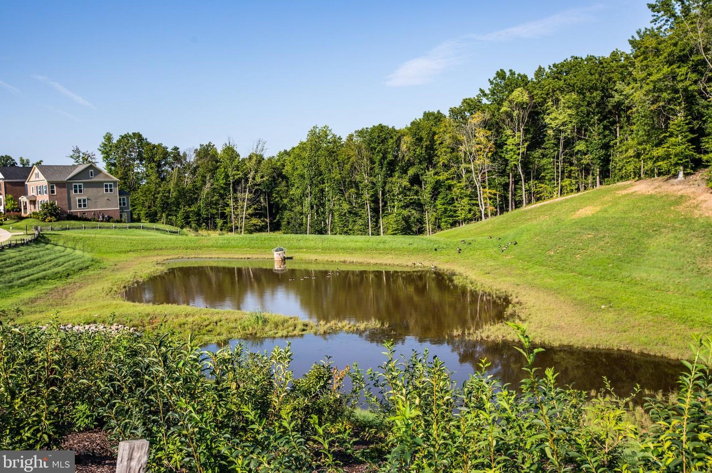 207 Apricot St, Stafford VA  22554-2500 exterior