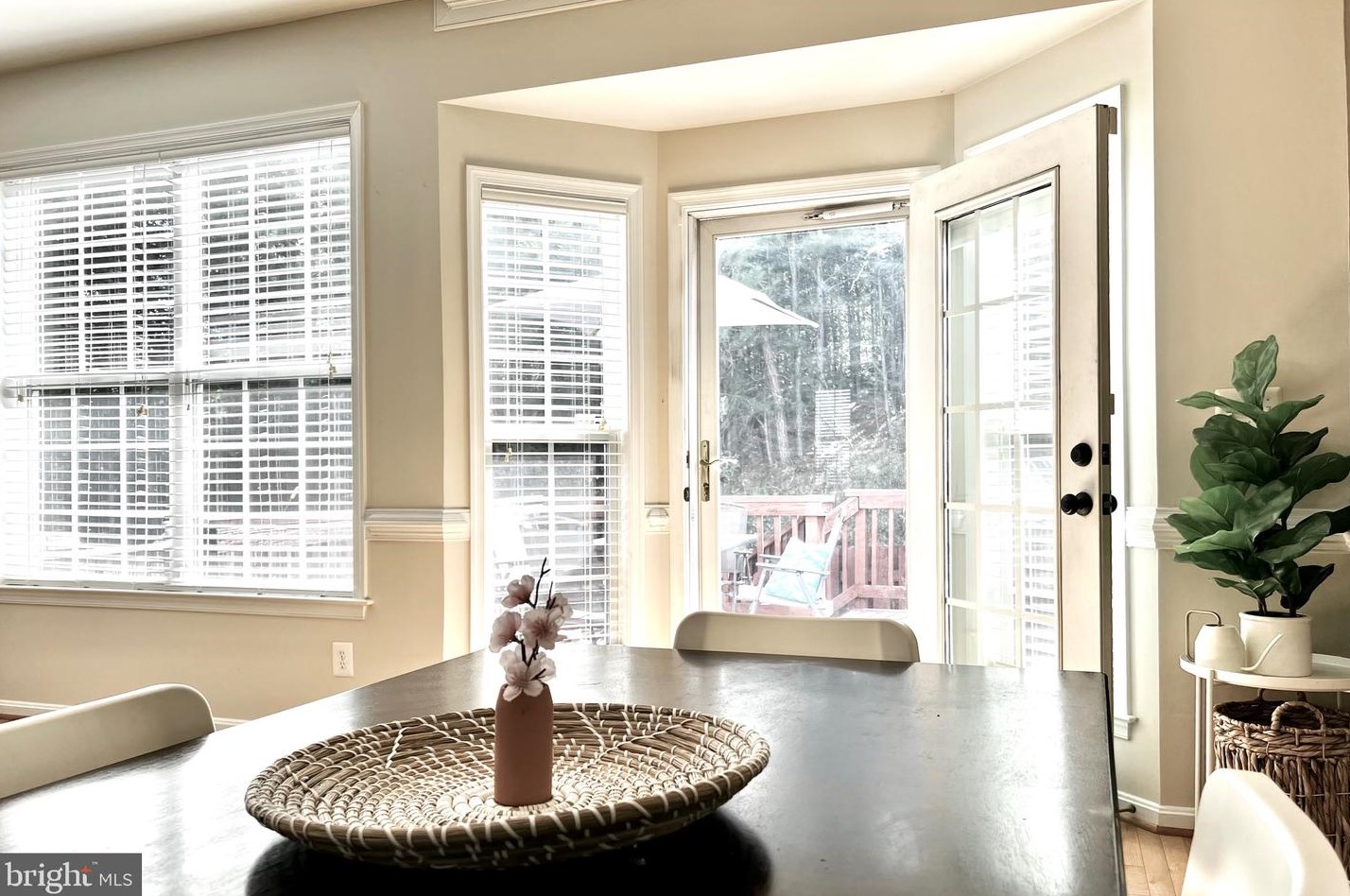 206 Breakers Edge Ct, Stafford VA  22554-4509 exterior