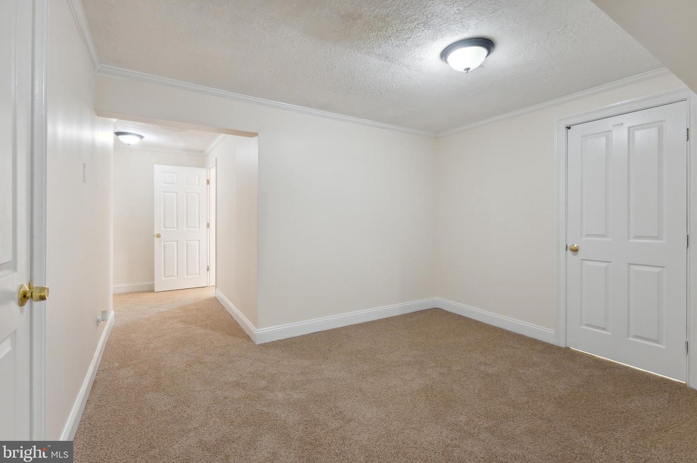 509 Mews Ct, Stafford VA  22556-3894 exterior