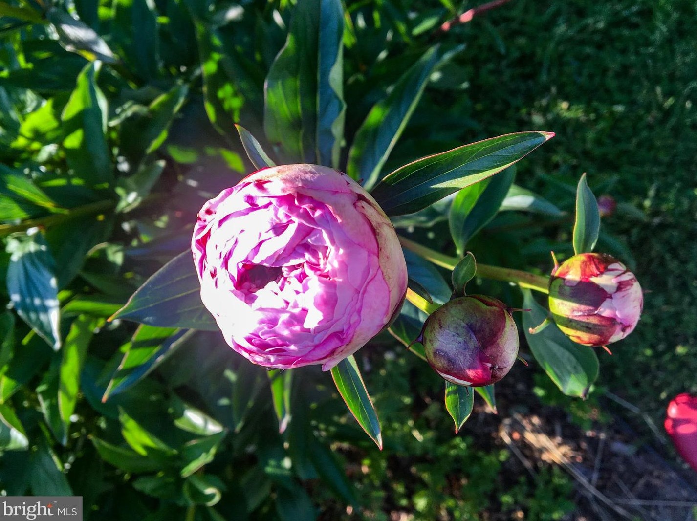 110 Madison Ave, Fredericksburg VA  22405-2527 exterior