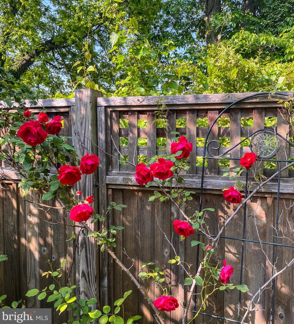 110 Madison Ave, Fredericksburg VA  22405-2527 exterior