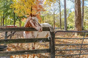 48 Old Creekside Rd, Fredericksburg, VA 22405 - Photo 73