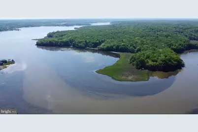 53 Betts Rd, Stafford, VA 22554 - Photo 3