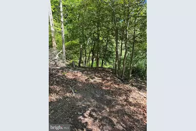 53 Betts Rd, Stafford, VA 22554 - Photo 19