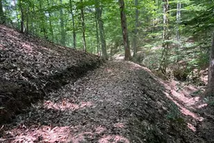 39 River Ridge Ln, Fredericksburg, VA 22406 - Photo 87