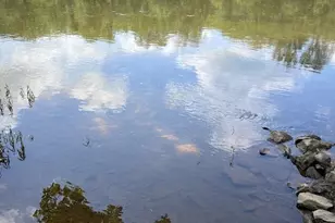 39 River Ridge Ln, Fredericksburg, VA 22406 - Photo 93