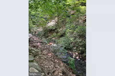 39 River Ridge Lane, Fredericksburg, VA 22406 - Photo 91