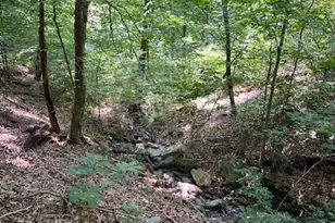 39 River Ridge Ln, Fredericksburg, VA 22406 - Photo 89