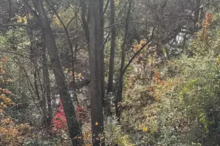 302 Pinnacle Dr, Stafford, VA 22554 - Photo 41